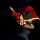 Red FLy 